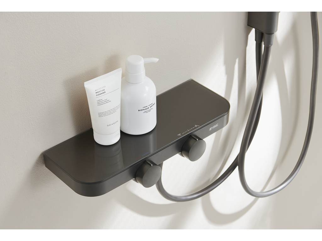 淋浴柱 FLYING SWALLOW 飞燕系列 WYEB-996022NM Ying1