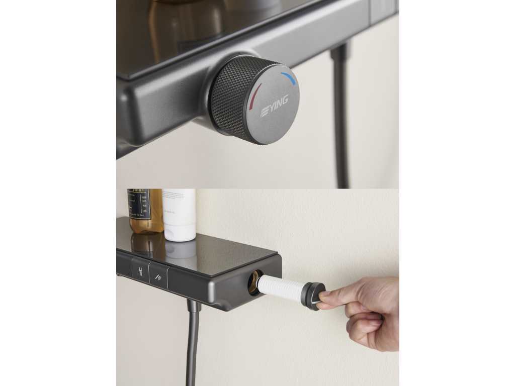 挂墙淋浴龙头 REAL 唯真系列 WYEF-986022NM Ying1