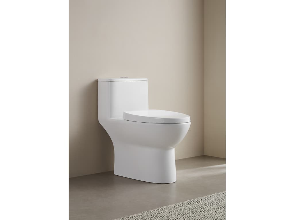 连体坐便器 165N1系列 WYCB165N Ying